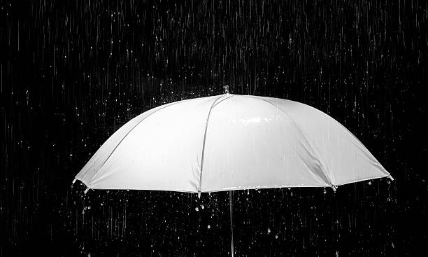 Biblical Wisdom: A Pursuit of Divine&nbsp;Truth